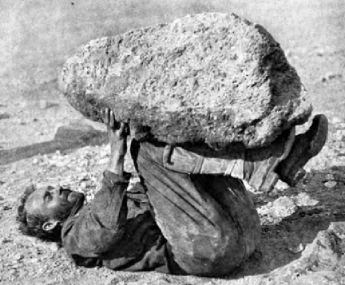 Hiding_under_rock